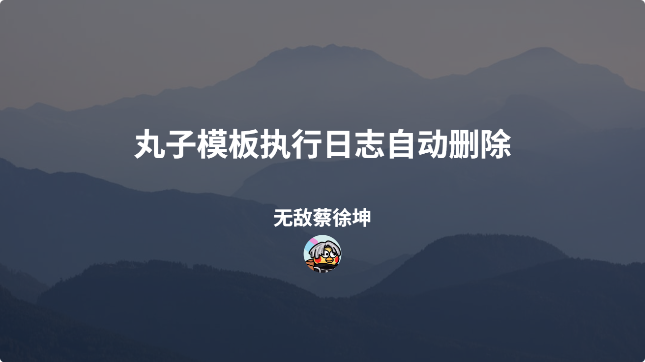 丸子执行日志.png